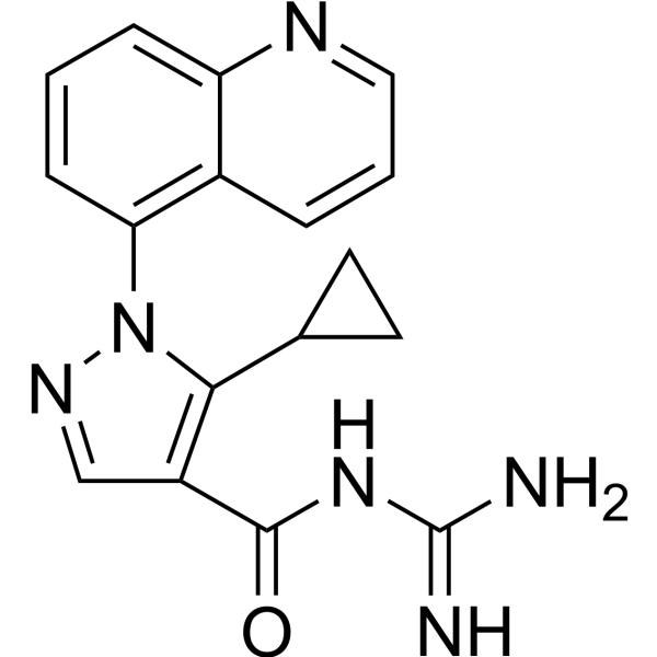 Zoniporide 241800-98-6